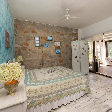 Villa Private Pool Cozy In Yaliciftlik, Bodrum