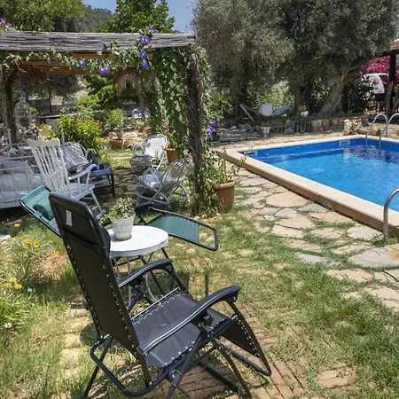 Villa Private Pool Cozy In Yaliciftlik, Bodrum